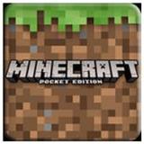 Minecraft Original(Oficial)1.16.201_playmods.net